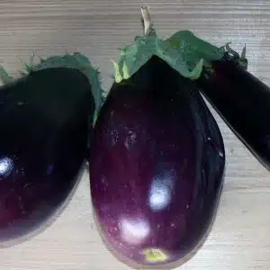 Aubergine noire