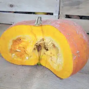 Potiron
