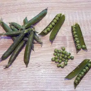Petit pois