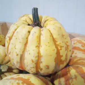Patidou
